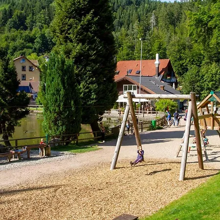 Self-check-in & Am Bergsee 2* Triberg im Schwarzwald