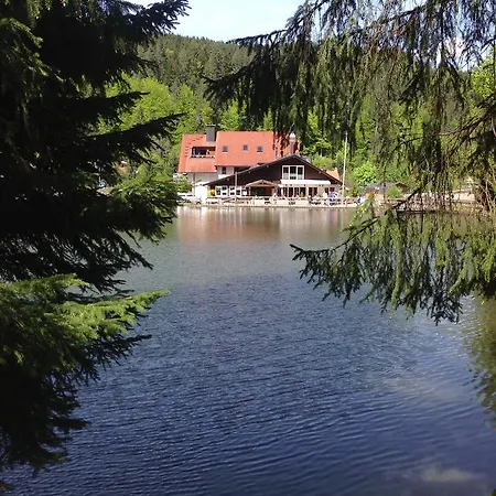 Πανσιόν Self-check-in & Am Bergsee Triberg im Schwarzwald