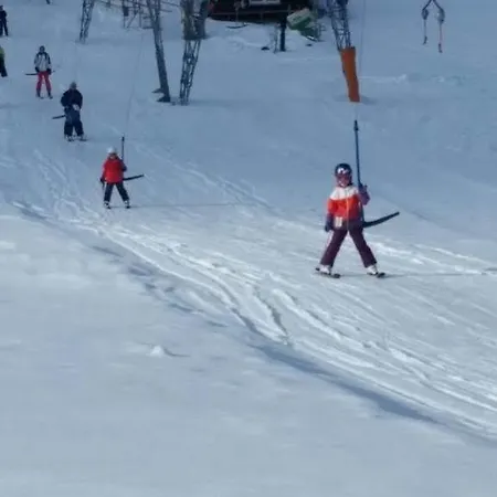 Self-check-in & Am Bergsee Πανσιόν Triberg im Schwarzwald