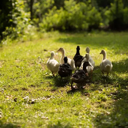 Self-check-in & Am Bergsee