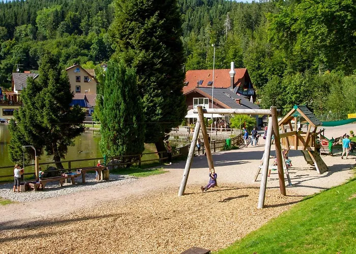 Self-check-in & Am Bergsee 3* Triberg im Schwarzwald