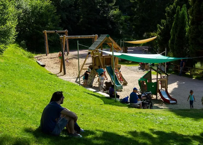 Self-check-in & Am Bergsee 3* Triberg im Schwarzwald