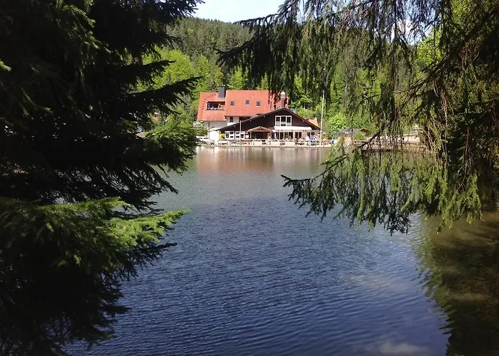 Pensionat Self-check-in & Am Bergsee Triberg im Schwarzwald