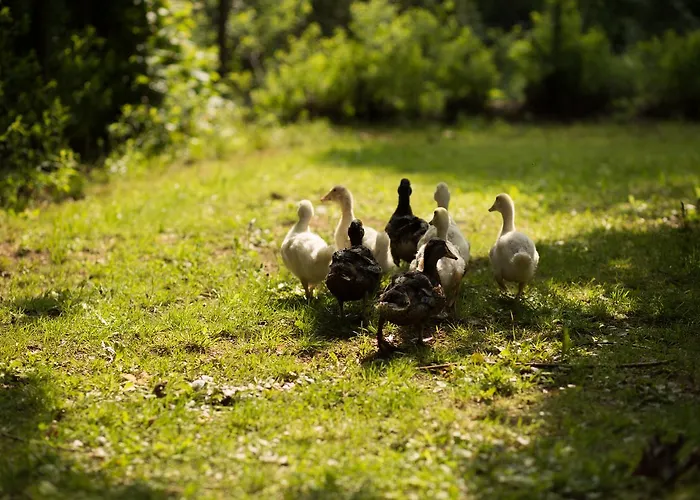Self-check-in & Am Bergsee